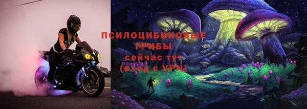 гидропоника Белоозёрский