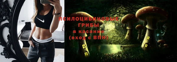 гашик Беломорск