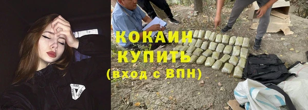 каннабис Белокуриха