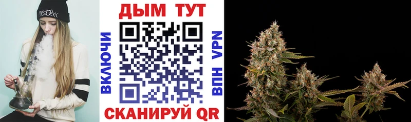 где можно купить   Высоковск  Бошки Шишки LSD WEED 